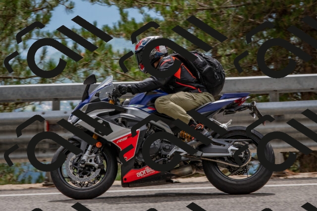 202508231432-DSC_7181_c4_