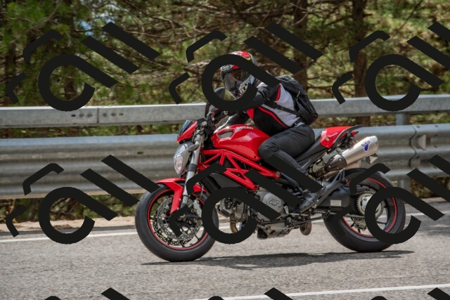 202508231432-DSC_7186_c4_