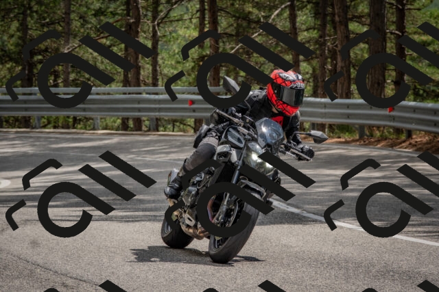 202508231434-DSC_7190_c4_