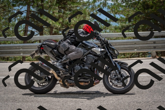 202508231434-DSC_7192_c4_