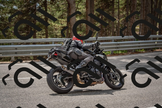 202508231434-DSC_7193_c4_