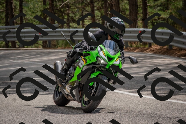 202508231434-DSC_7195_c4_