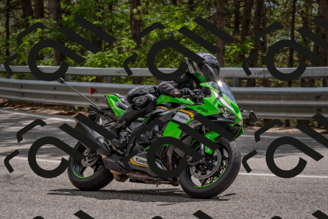 202508231434-DSC_7196_c4_