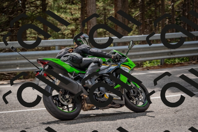 202508231434-DSC_7198_c4_