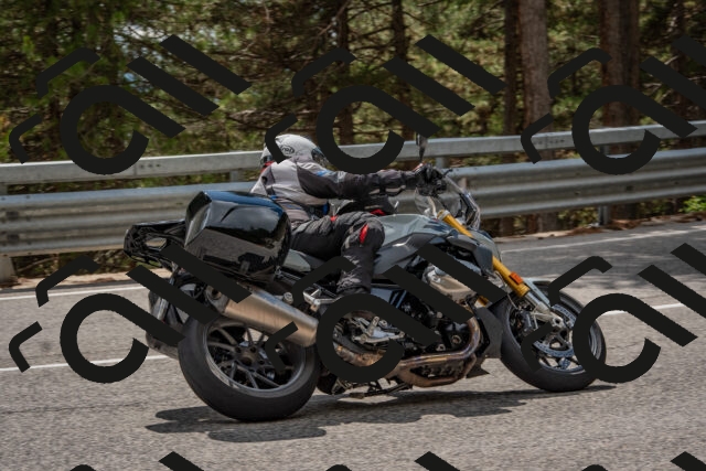 202508231436-DSC_7203_c4_