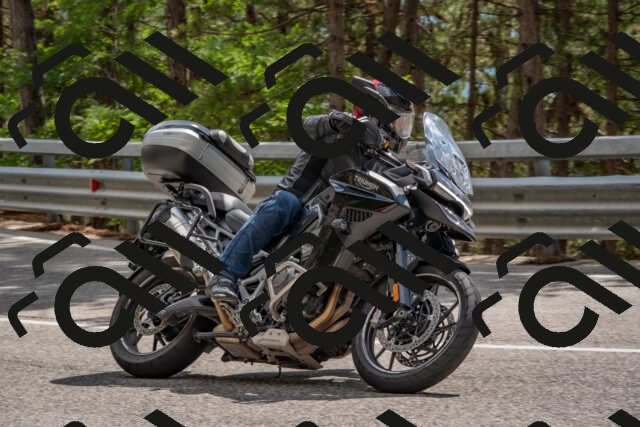 202508231436-DSC_7205_c4_