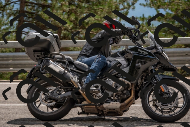 202508231436-DSC_7206_c4_