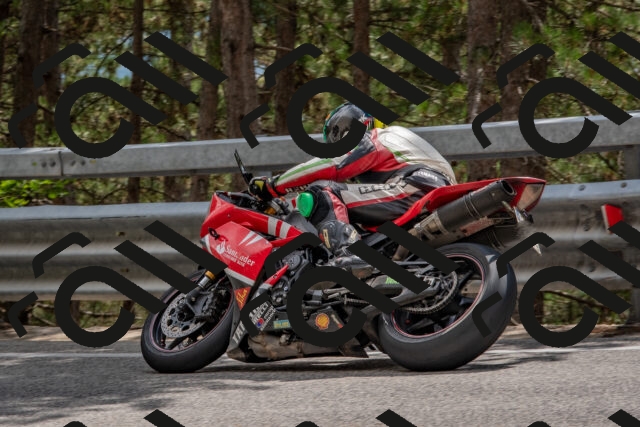 202508231437-DSC_7211_c4_