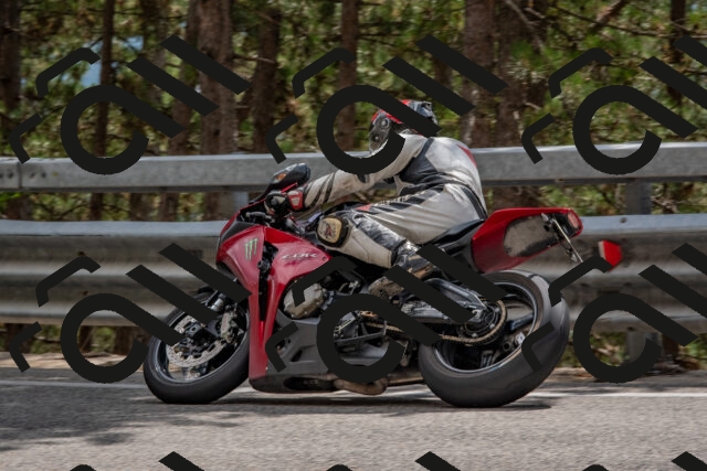 202508231437-DSC_7215_c4_