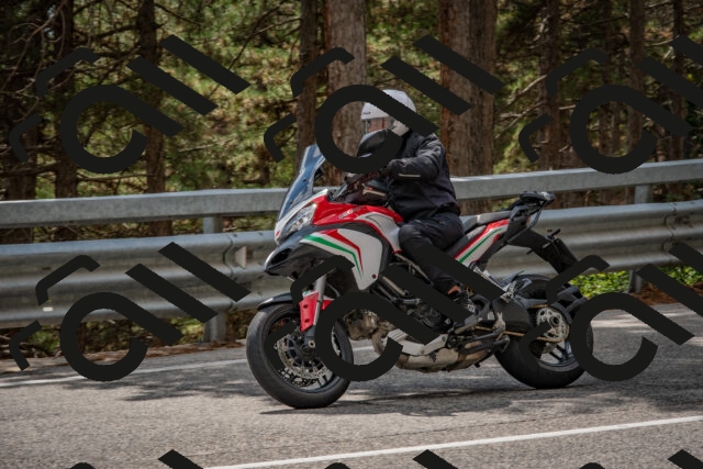 202508231438-DSC_7218_c4_