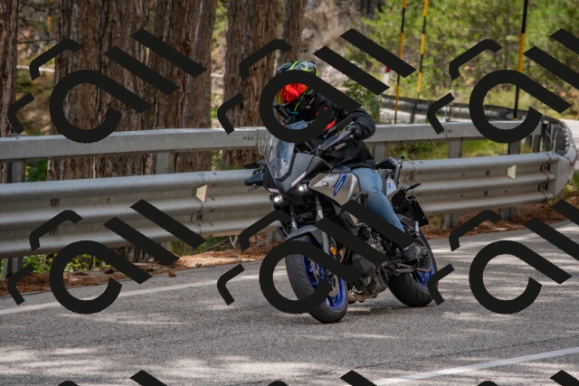 202508231440-DSC_7221_c4_