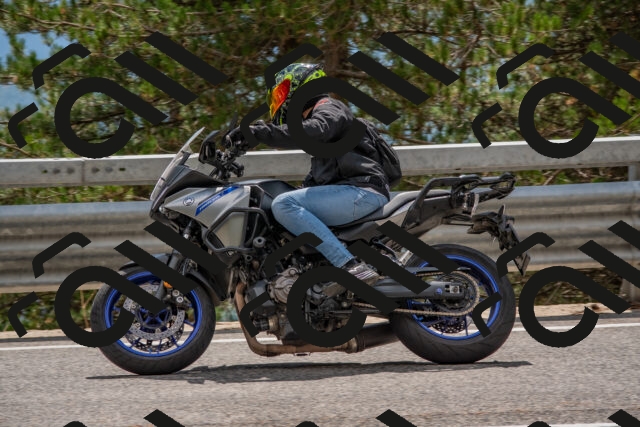 202508231440-DSC_7223_c4_