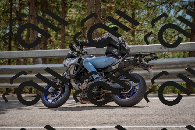 202508231440-DSC_7224_c4_