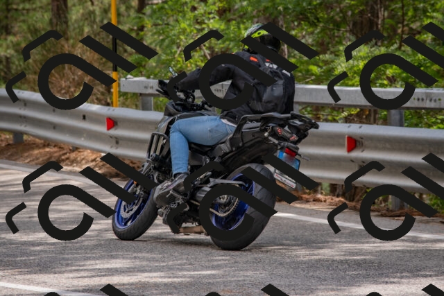 202508231440-DSC_7225_c4_