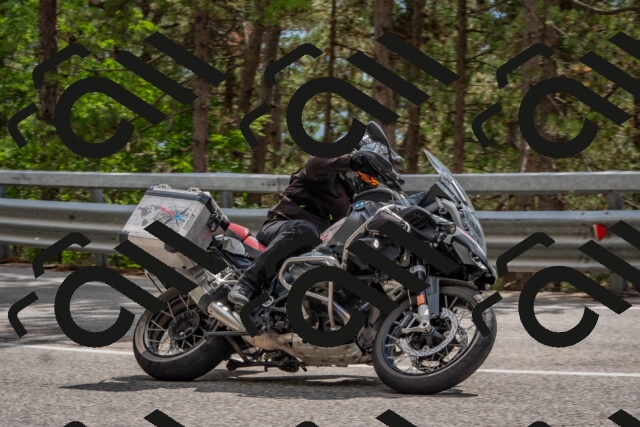 202508231440-DSC_7227_c4_