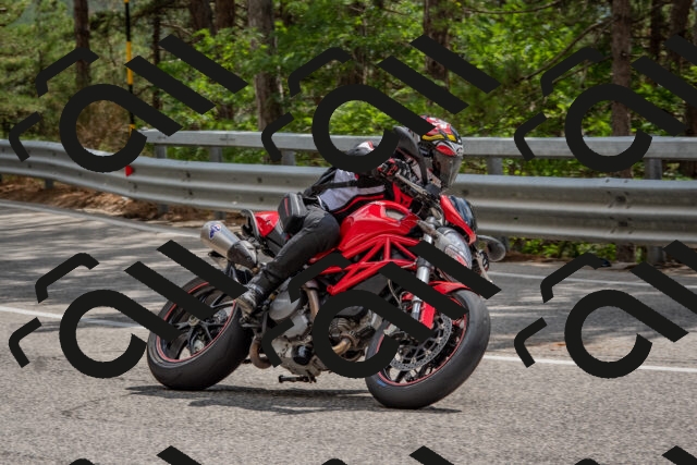 202508231441-DSC_7230_c4_