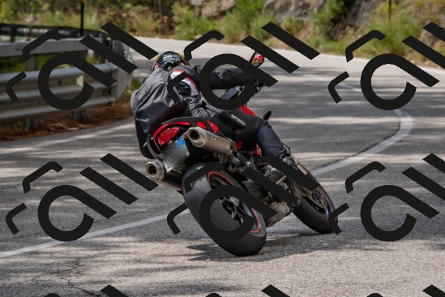 202508231441-DSC_7232_c4_