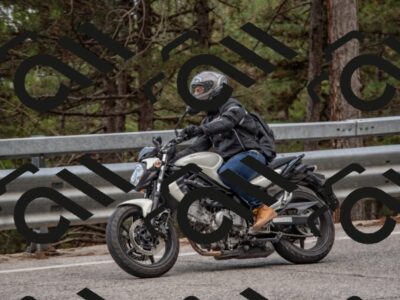 202508231443-DSC_7233_c4_