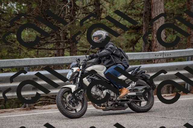 202508231443-DSC_7233_c4_