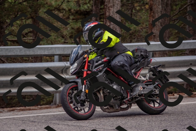 202508231443-DSC_7239_c4_