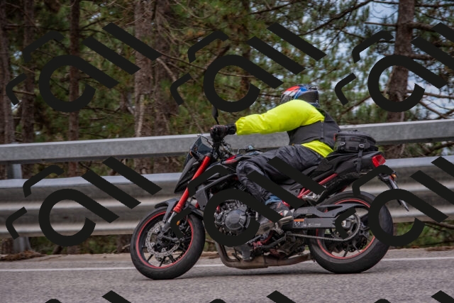 202508231443-DSC_7241_c4_