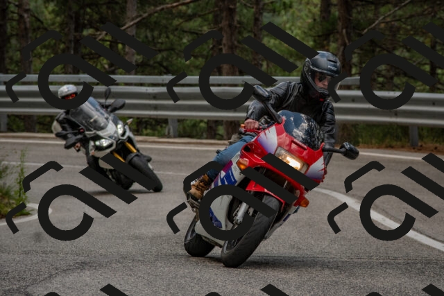 202508231444-DSC_7242_c4_