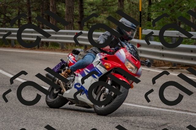 202508231444-DSC_7243_c4_