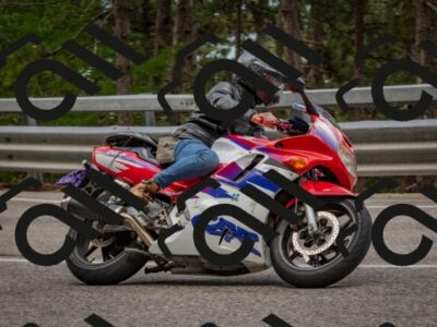 202508231444-DSC_7244_c4_