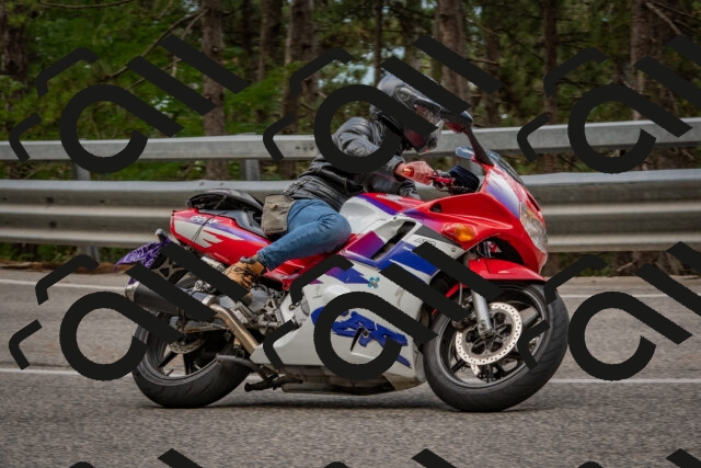 202508231444-DSC_7244_c4_