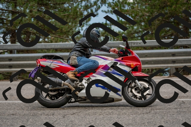 202508231444-DSC_7245_c4_