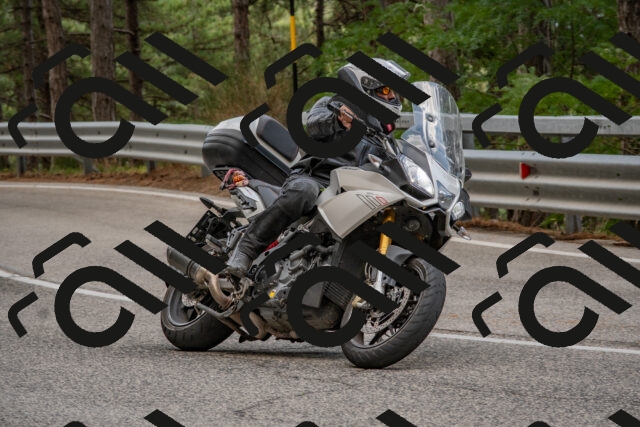 202508231444-DSC_7246_c4_