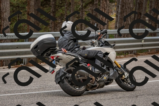 202508231444-DSC_7249_c4_