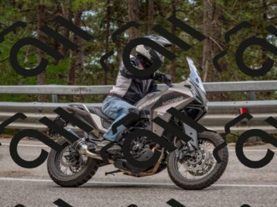 202508231444-DSC_7251_c4_