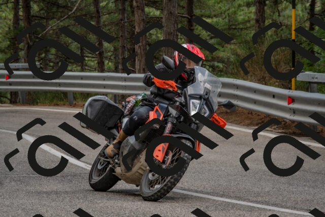 202508231445-DSC_7254_c4_