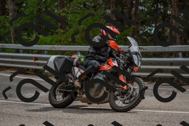 202508231445-DSC_7255_c4_