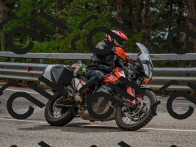 202508231445-DSC_7255_c4_