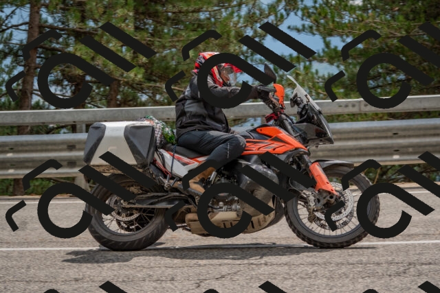 202508231445-DSC_7256_c4_