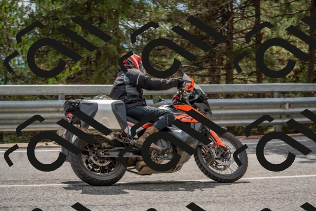 202508231445-DSC_7257_c4_