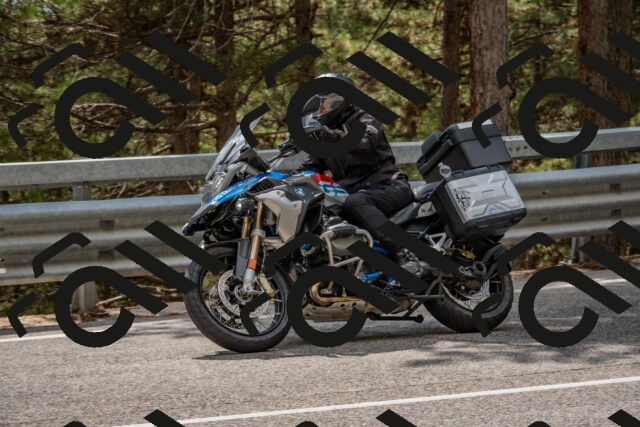 202508231448-DSC_7266_c4_