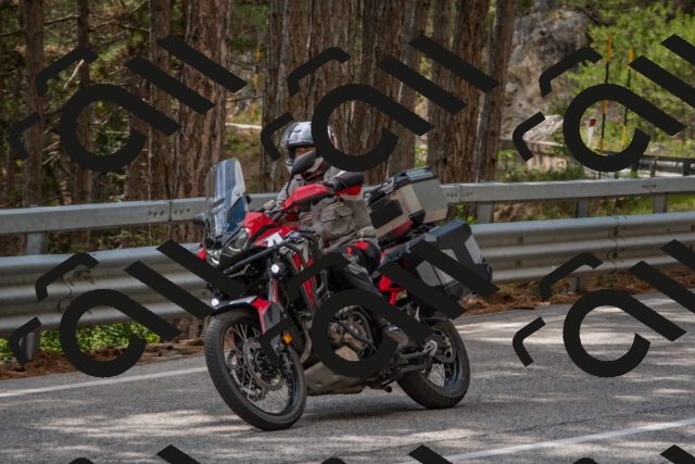 202508231448-DSC_7271_c4_