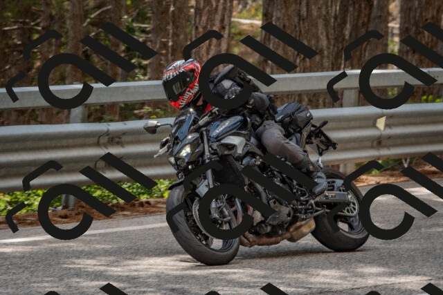 202508231451-DSC_7274_c4_