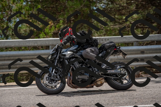 202508231451-DSC_7275_c4_