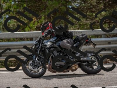 202508231451-DSC_7275_c4_