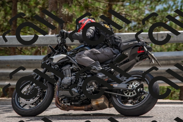 202508231451-DSC_7276_c4_