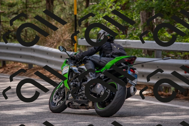 202508231451-DSC_7279_c4_