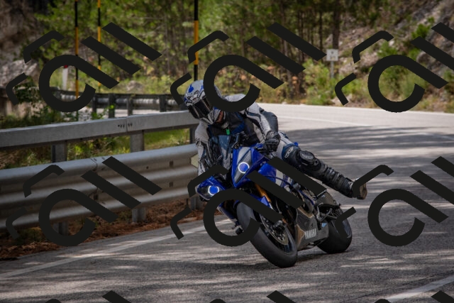 202508231452-DSC_7280_c4_