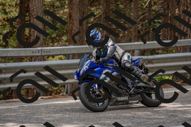 202508231452-DSC_7281_c4_