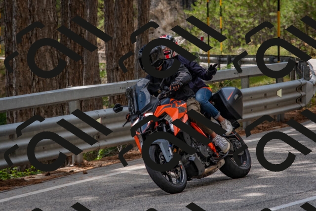 202508231452-DSC_7288_c4_