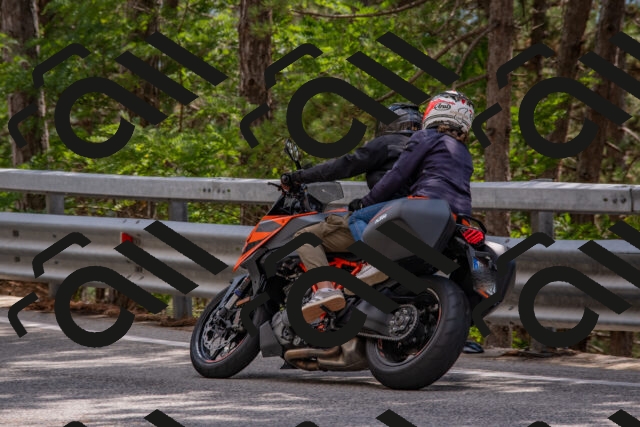 202508231453-DSC_7291_c4_