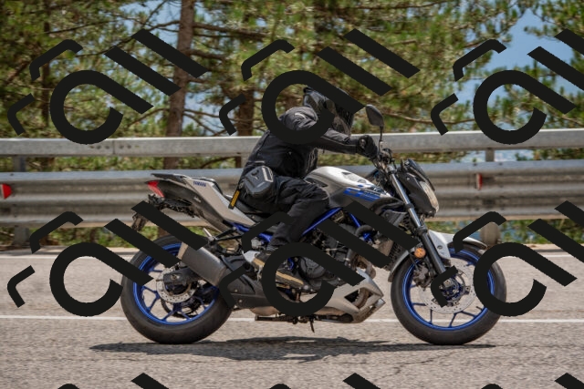 202508231458-DSC_7294_c4_